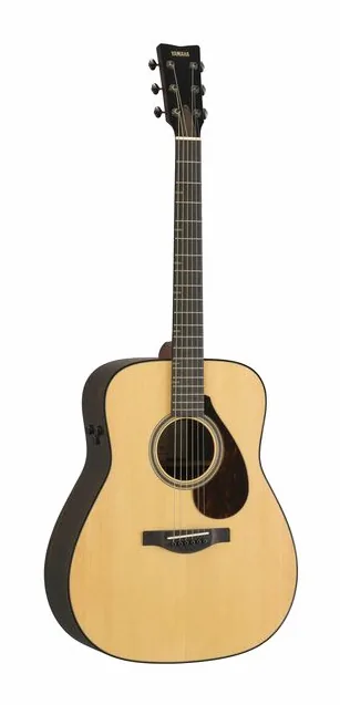 Yamaha FG7 RX, buca e rosetta, scatto 2