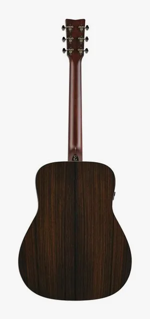 Yamaha FG7 RX, buca e rosetta, scatto 3