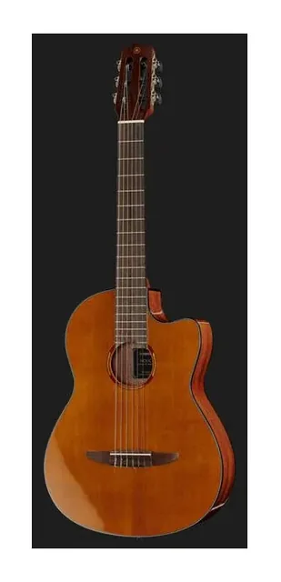 Yamaha NCX1C NAT, buca e rosetta, scatto 2