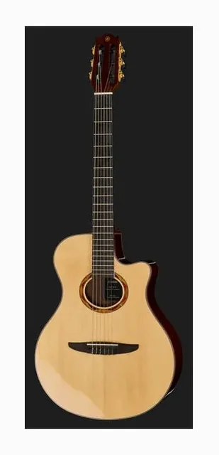 Yamaha NTX3NT, buca e rosetta, scatto 2