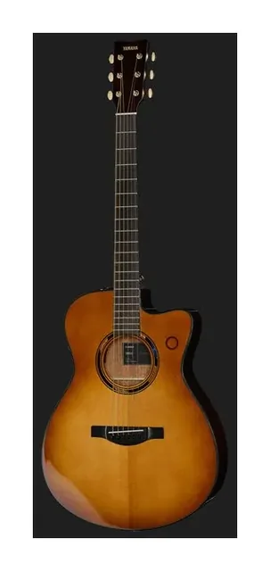 Yamaha TAS3 C Sand Burst, buca e rosetta, scatto 2