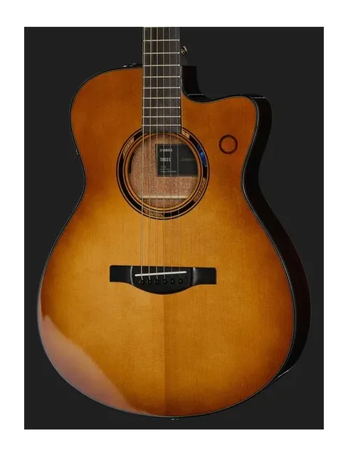 Yamaha TAS3 C Sand Burst, buca e rosetta, scatto 4